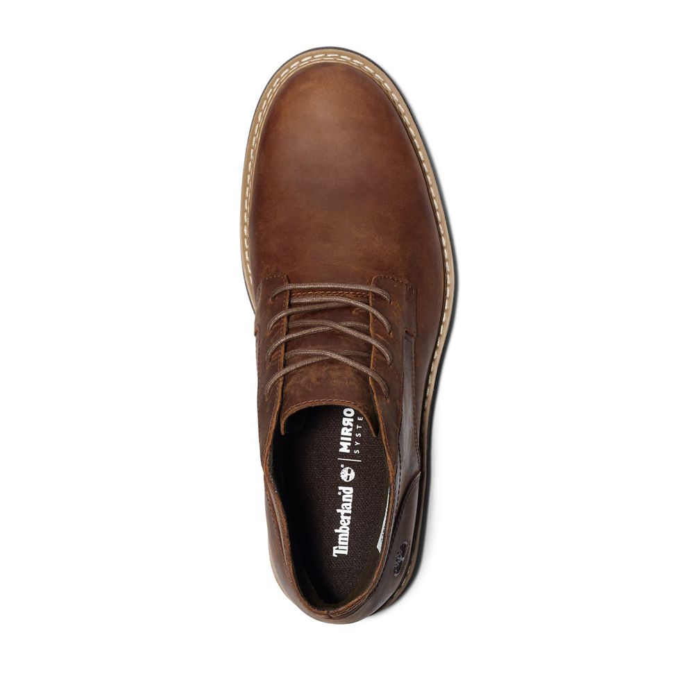 Bocanci Chukka Timberland Barbati Maro - Squall Canyon Waterproof - Romania - HFZKIO471